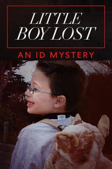 Little Boy Lost: An ID Mystery poster