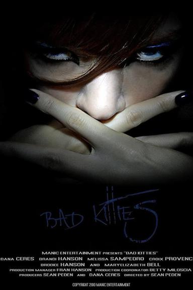 Bad Kitties poster