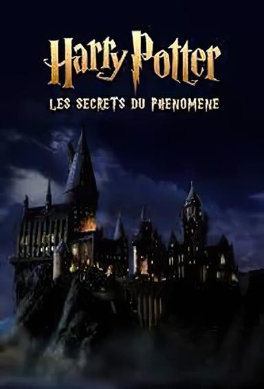 Harry Potter : les secrets du phénomène poster