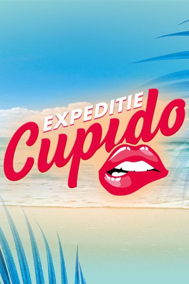 Expedition Cupid poster