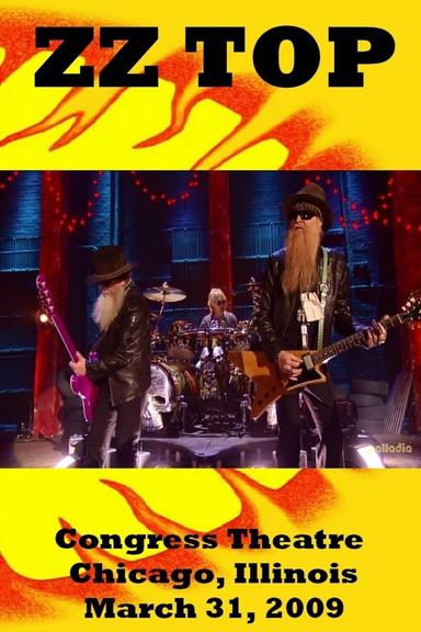 ZZ Top: VH1 Storytellers poster