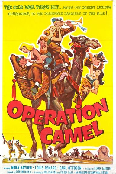 Friends at Arms: Operation Camel poster