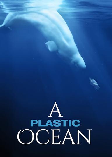 A Plastic Ocean poster