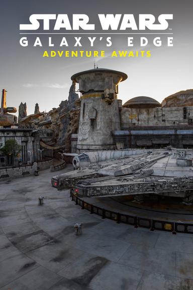 Star Wars: Galaxy's Edge - Adventure Awaits poster