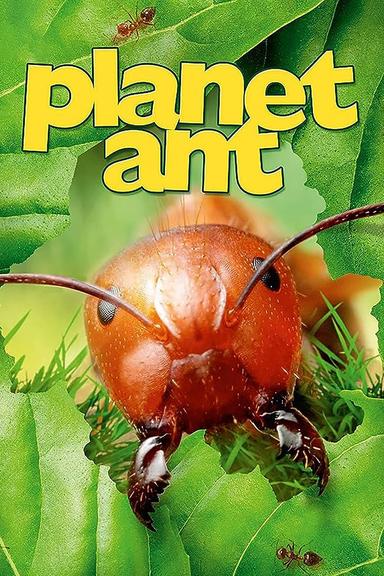 Planet Ant: Life Inside The Colony poster