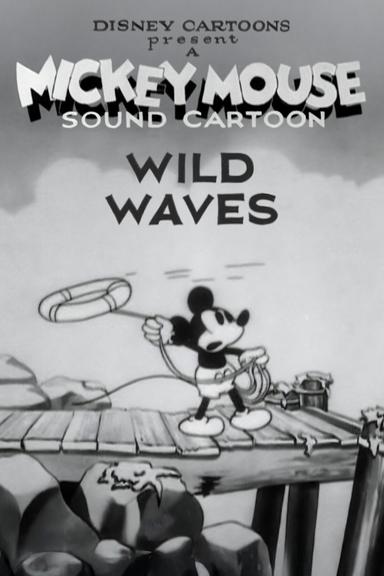 Wild Waves poster