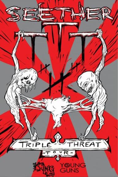 Seether: Tripple Threat Live poster