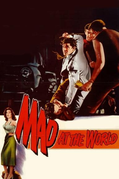 Mad at the World poster