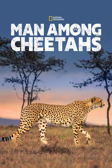 Man Among Cheetahs poster