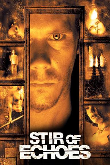 Stir of Echoes poster