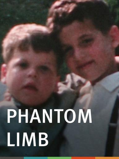 Phantom Limb poster