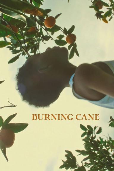 Burning Cane poster