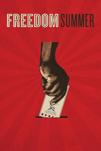 Freedom Summer poster