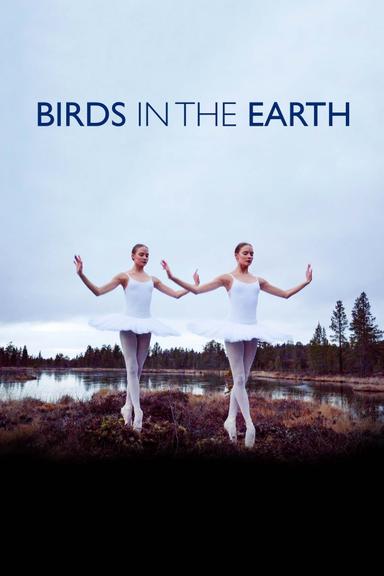 Birds in the Earth poster