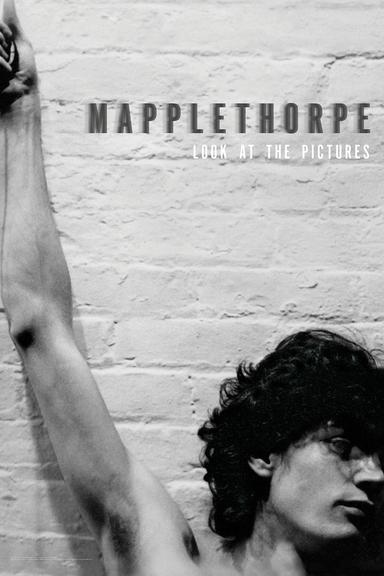 Mapplethorpe: Look at the Pictures poster