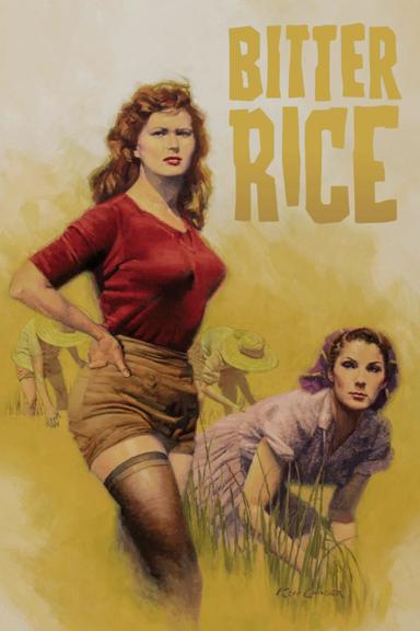 Bitter Rice poster