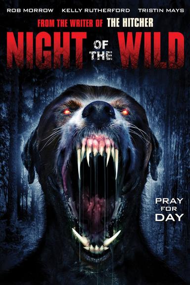 Night of the Wild poster