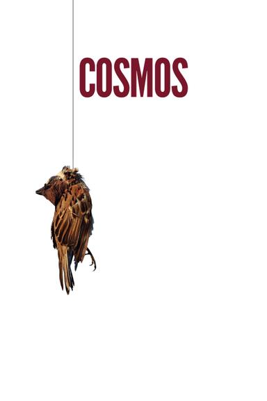 Cosmos poster