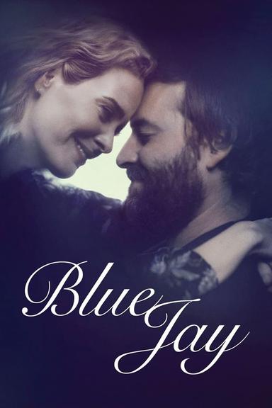 Blue Jay poster