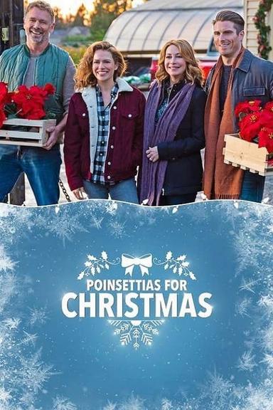 Poinsettias for Christmas poster