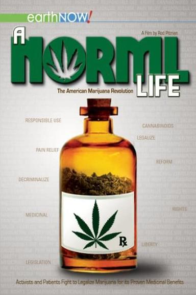 A Norml Life poster