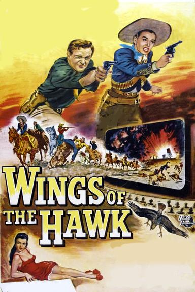 Wings of the Hawk poster