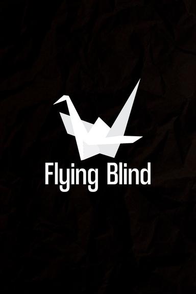 Flying Blind poster