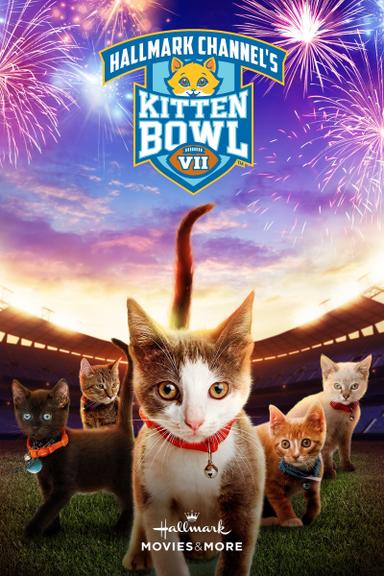 Kitten Bowl VII poster