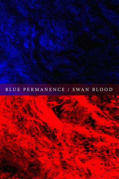 Blue Permanence / Swan Blood poster