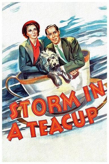 Storm in a Teacup poster