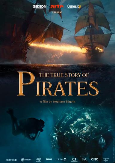 The True Story of Pirates poster