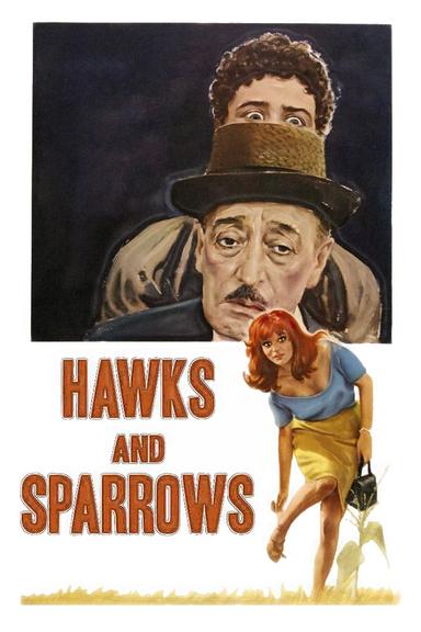 The Hawks and the Sparrows poster