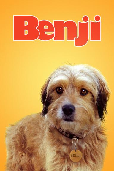 Benji poster