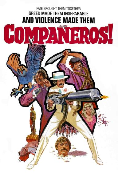 Compañeros poster