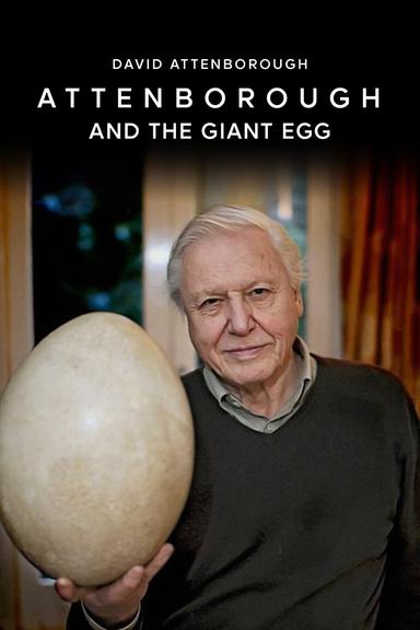 Attenborough and the Giant Egg poster