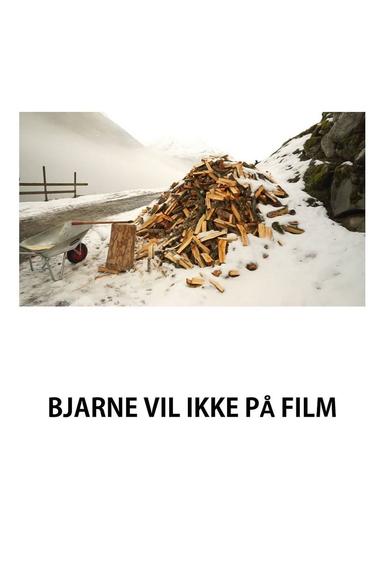 Bjarne Hates the Camera poster