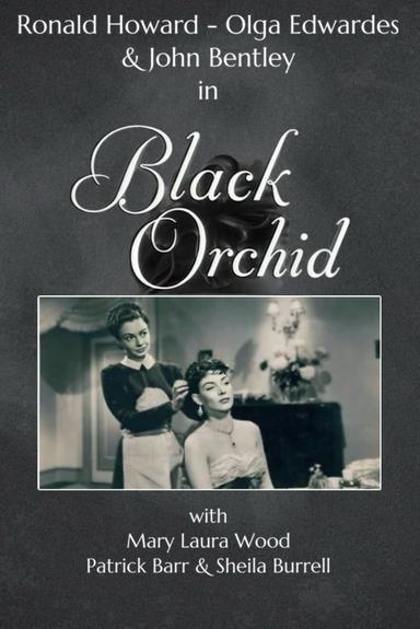 Black Orchid poster