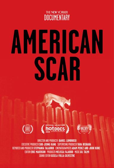 American Scar poster