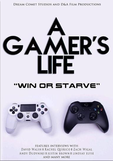 A Gamer's Life poster