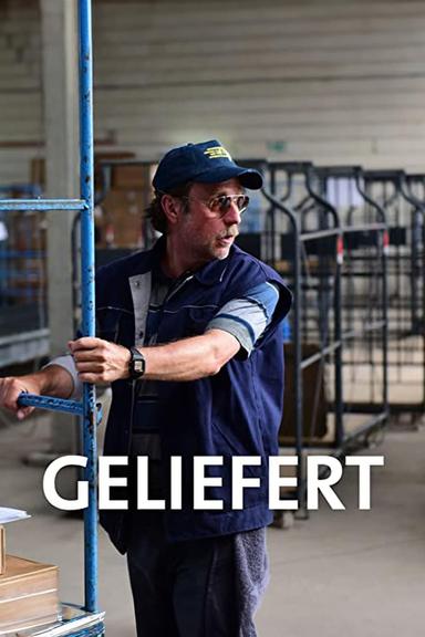 Geliefert poster