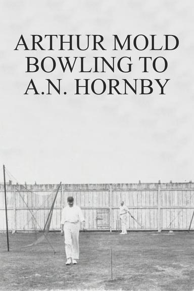 Arthur Mold Bowling to A.N. Hornby poster