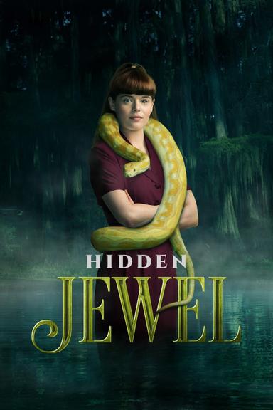 Hidden Jewel poster