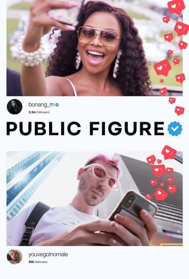 Public Figure poster