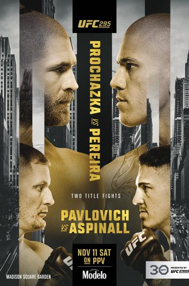 UFC 295: Prochazka vs. Pereira poster