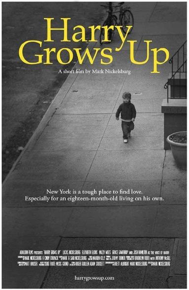 Harry Grows Up poster