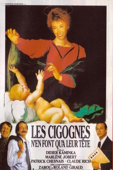 Les cigognes n'en font qu'à leur tête poster