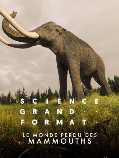 Le monde perdu des mammouths poster