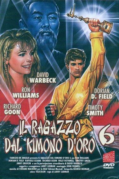 Karate Warrior 6 poster