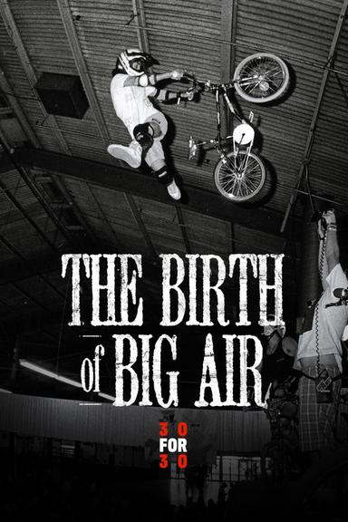 The Birth of Big Air poster