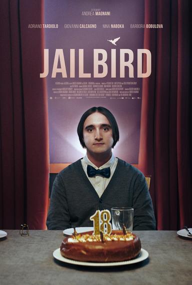 Jailbird poster